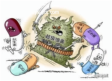【基德洞察】人类与螨虫共生：除螨行业的深度剖析与发展趋势